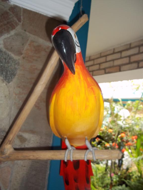 Pousada Riacho Doce Caraguatatuba Pokój zdjęcie